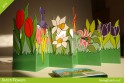 Dutch Flowers 20 stuks