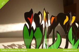 Tulips in bloom by Night 20 stuks