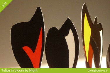 Tulips in bloom by Night 20 stuks