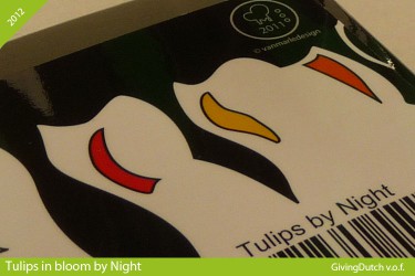 Tulips in bloom by Night 20 stuks